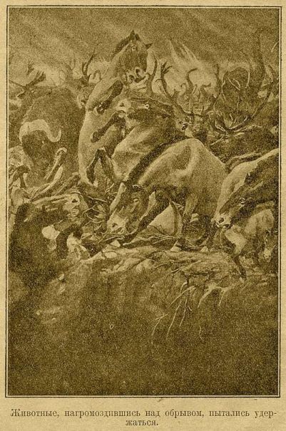 Заколдованная земля - pic17.jpg