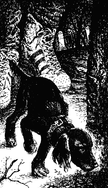 Я, говорит пёс - i_002.png