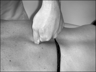 Массаж от классики до экзотики. Полная энциклопедия систем, видов, техник, методик - i_061.jpg