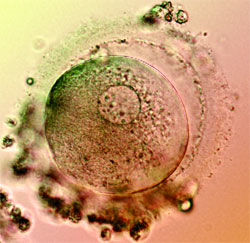 Журнал "Компьютерра" №722 - _722-938.jpg