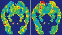 Журнал "Компьютерра" №739 - _739-56.jpg