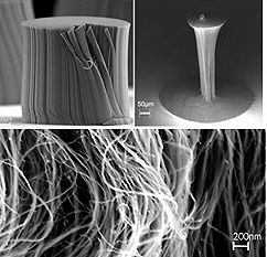 Журнал «Компьютерра» № 23 от 19 июня 2007 года - _691x1v910.jpg