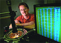 Журнал «Компьютерра» № 24 от 27 июня 2006 года - _644d2h1.jpg