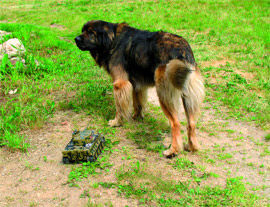 Журнал «Компьютерра» № 30 от 21 августа 2007 года - i_065.jpg