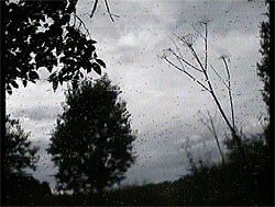 Журнал «Компьютерра» № 31 от 28 августа 2007 года - i_037.jpg