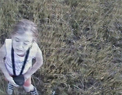 Журнал «Компьютерра» № 31 от 28 августа 2007 года - i_038.jpg