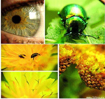 Журнал «Компьютерра» № 35 от 26 сентября 2006 года - _655r20d1.jpg