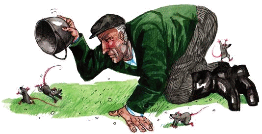 Денис-изобретатель. Книга для развития изобретательских способностей детей младших и средних классов - _021.png