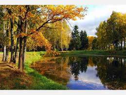 Эстетика Ренессанса [Статьи и эссе] - image137.jpg