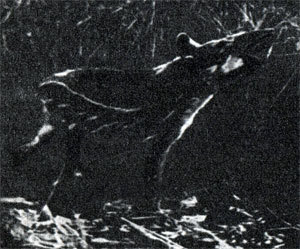 В краю гоацинов - doc2fb_image_02000007.jpg