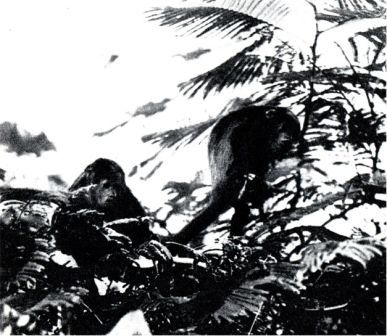 В краю гоацинов - doc2fb_image_02000009.jpg