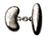 Ну и жизнь! Автобиография - i_031.jpg