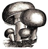 Ну и жизнь! Автобиография - i_068.jpg