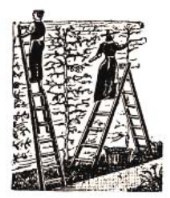 Ну и жизнь! Автобиография - i_113.jpg