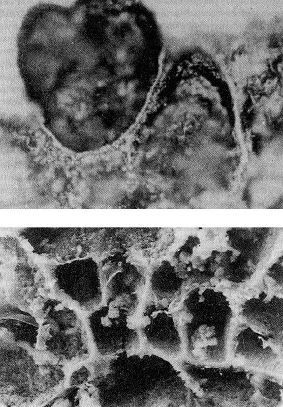 Энергия, секс, самоубийство - i_011.jpg