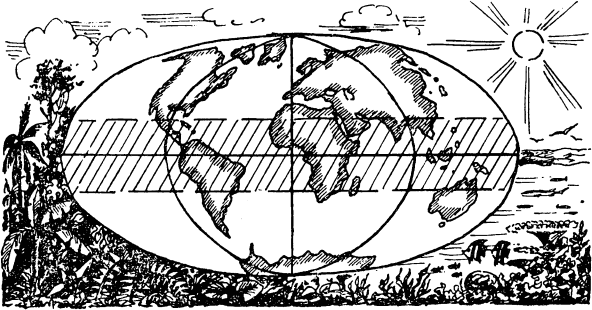 Увлекательная география - _13.png