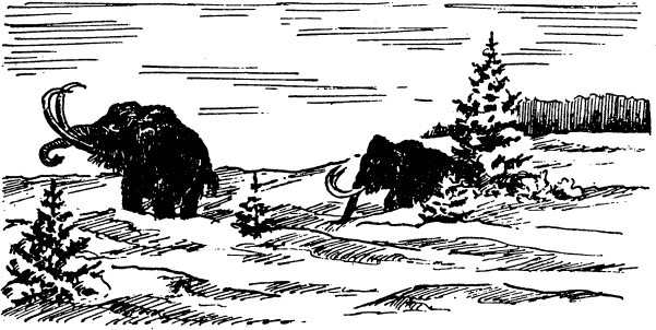 Увлекательная география - _19.png