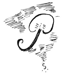 Дневник последнего любовника России. Путешествие из Конотопа в Петербург - i_029.jpg