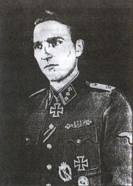 38-я гренадерская дивизия СС «Нибелунги» - i_038.jpg