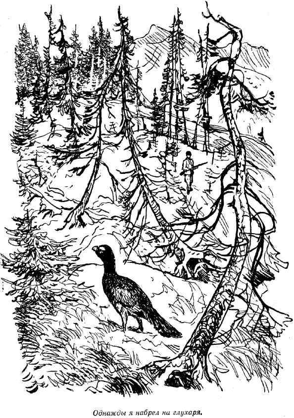 Юванко из Большого стойбища - img_8.jpeg