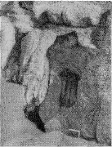 Запрещенные евангелия - i_004.jpg