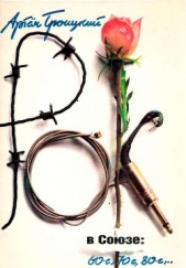 Рок в Союзе: 60-е, 70-е, 80-е... - автор Троицкий Артемий Кивович 