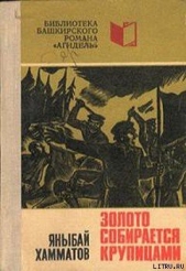 Золото собирается крупицами - автор Хамматов Яныбай Хамматович 