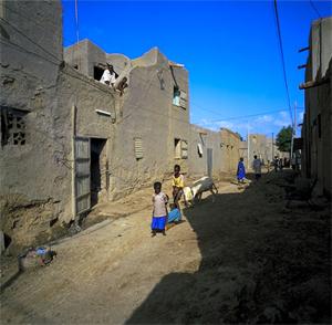 Цивилизации долины Нигера - i_007.jpg