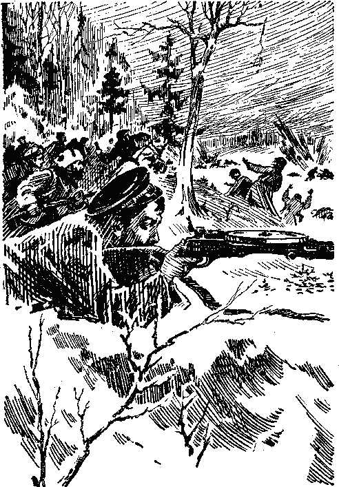 В Курляндском котле - i_005.png