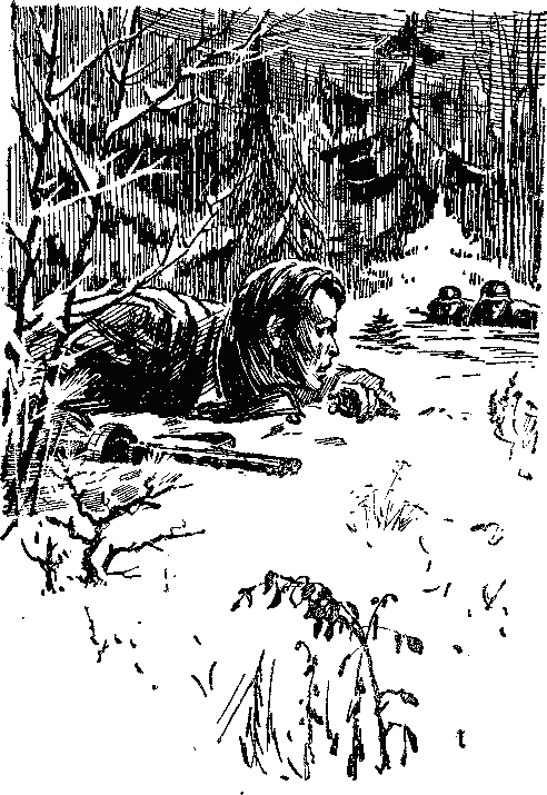 В Курляндском котле - i_006.png