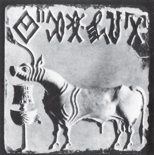 Индия: беспредельная мудрость - i_027.jpg