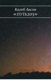 Путь 203 - автор Ансон Калеб 