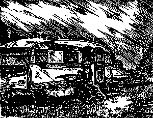 Цыгане. Тайны жизни и традиции - any2fbimgloader42.png