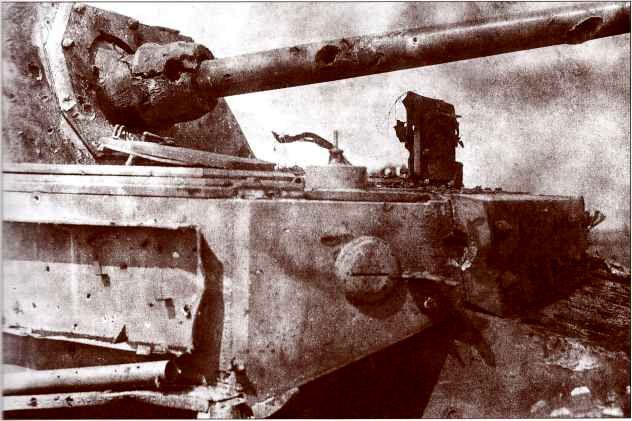 Panzerjager Tiger (P) «Ferdinand» - i_019.jpg