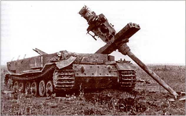 Panzerjager Tiger (P) «Ferdinand» - i_020.jpg