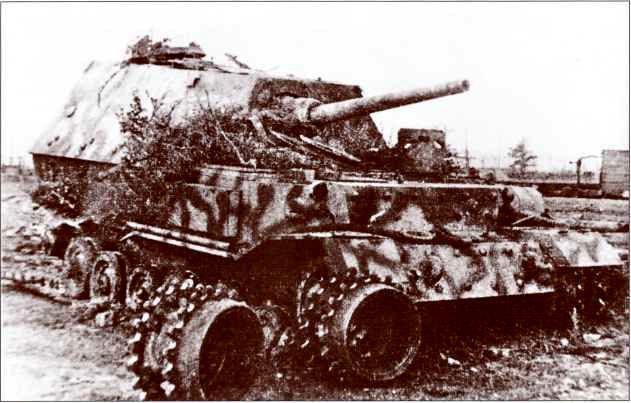 Panzerjager Tiger (P) «Ferdinand» - i_025.jpg