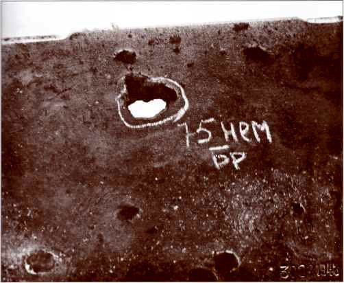 Panzerjager Tiger (P) «Ferdinand» - i_074.jpg