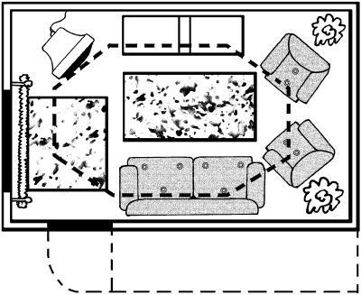 Молодость и долголетие с фэн-шуй - i_011.jpg