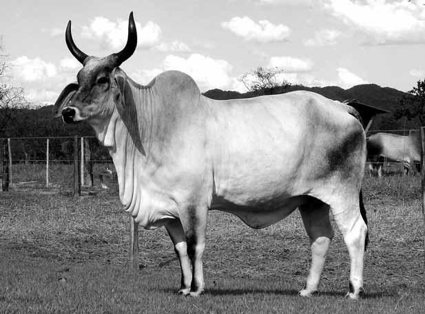 Самые необычные животные - i_007.jpg