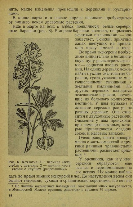 Юный натуралист - _21.jpg