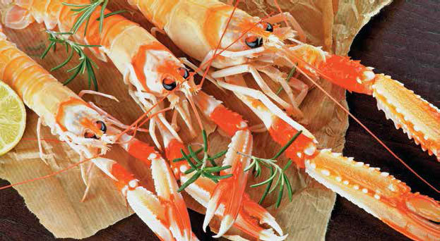 Кулинарная энциклопедия. Том 17. Л (Лакса – Лобио) - _12.jpg