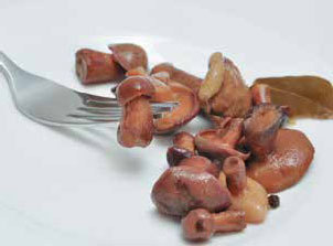 Кулинарная энциклопедия. Том 22. М-Н (Мостарда – Наливка) - _5.jpg