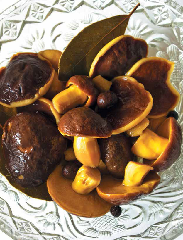 Кулинарная энциклопедия. Том 22. М-Н (Мостарда – Наливка) - _7.jpg