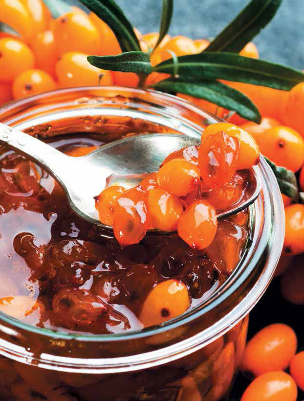 Кулинарная энциклопедия. Том 24. О (Облепиха – Опёнок) - _3.jpg