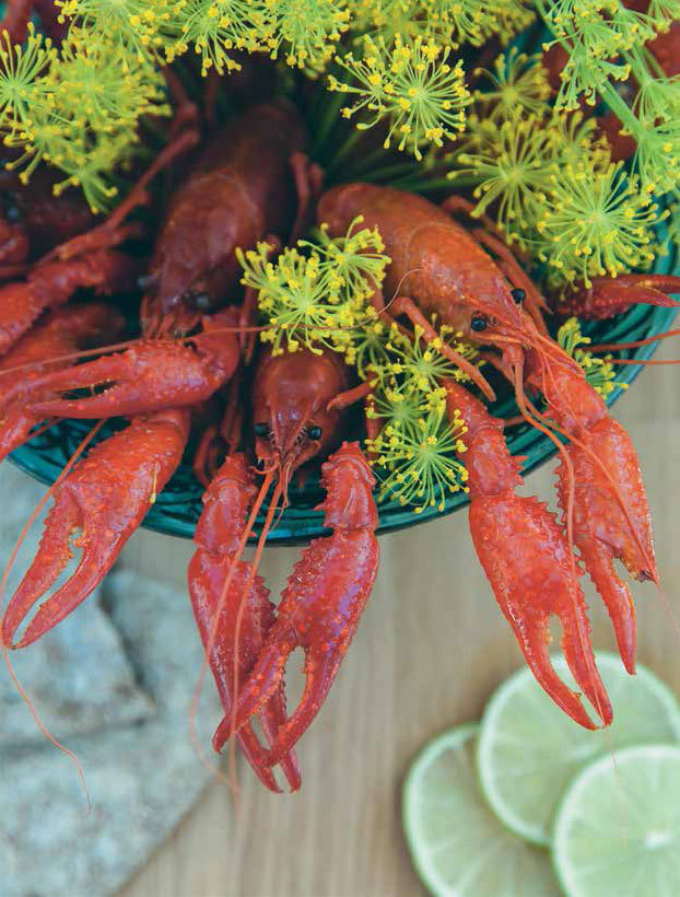 Кулинарная энциклопедия. Том 31. Р (Ражничи – Ролл) - _7.jpg