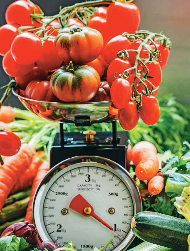 Кулинарная энциклопедия. Том 5. В-Г (Венский шницель – Гамбо) - _16.jpg