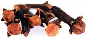 Кулинарная энциклопедия. Том 6. Г (Гамбринус – Гранита) - _16.jpg