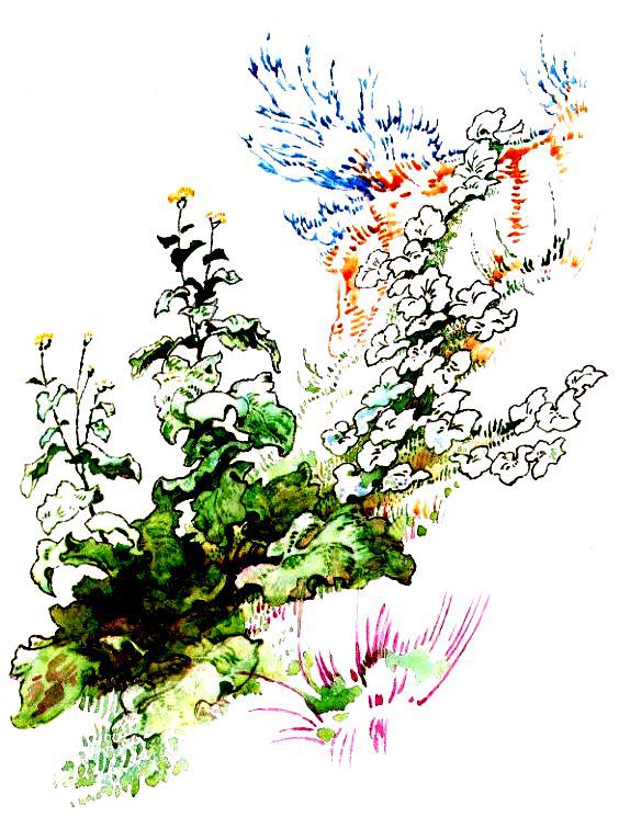 Игнашка - pic_1.jpg