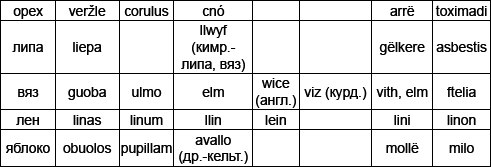 Русская тайна. Откуда пришел князь Рюрик? - i_020.png