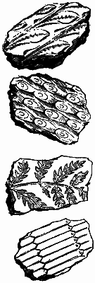 Путешествие в прошлое - i_003.png